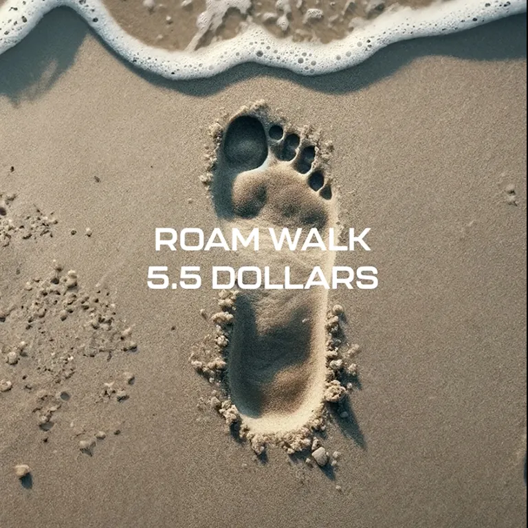 Footprint in wet sand near seafoam with text 'ROAM WALK 5.5 DOLLARS' overlayed.